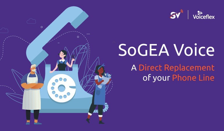 Voiceflex launches SoGEA Voice image